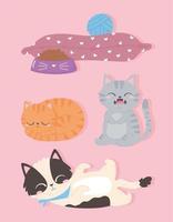 gatti animali dei cartoni animati con cibo cuscino e palla vettore