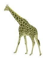 giraffa lato Visualizza arte deco wpa manifesto arte vettore