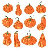 zucche collezione nel piatto stile. autunno, autunno, ringraziamento e Halloween decorazione cartone animato. vettore illustrazione isolato su un' bianca sfondo.