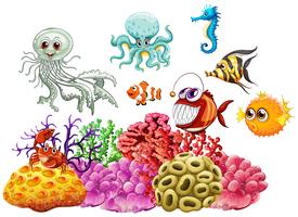 Animali marini e barriera corallina sott&#39;acqua