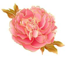 fiore di peonia rosa pastello con linea fredda e foglie in una tavolozza di colori tenui asiatici. decorazioni botaniche per matrimoni e feste romantiche vettore