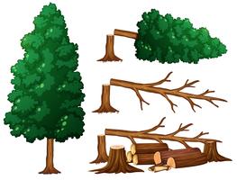 Un insieme di alberi e legno vettore