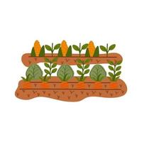 icone di scene organiche coltivate di carote vettore