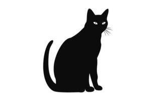 europeo birmano gatto silhouette nero vettore