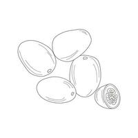 pomodori scarabocchio disegno collezione. verdure - pomodori siamo disegnato a mano vettore illustrazioni di scarabocchi nel Nero, isolato su un' bianca sfondo.