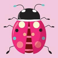 coccinella rosa su sfondo rosa. simpatico insetto. vettore