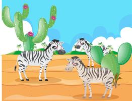 Zebra che vive nel deserto vettore