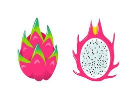 pitahaya. Drago frutta. salutare cibo, vegani. veganuario. cactus. vettore illustrazione nel piatto stile. per menù, bar, adesivi manifesti design