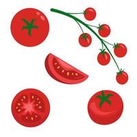 set di pomodori rossi, grafica vettoriale