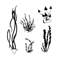 sottomarino piante fluviali alghe oceano botanico fauna simboli grafici vettore