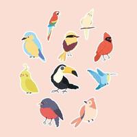 dieci specie di uccelli vettore