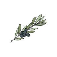 oliva ramo vettore illustrazione
