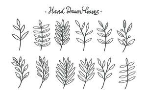 disegnato a mano botanico le foglie linea collezione. vettore illustrazione.