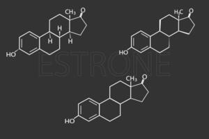 estrone molecolare scheletrico chimico formula vettore