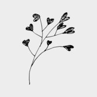 vettore disegnato a mano gypsophila inchiostro nero colore
