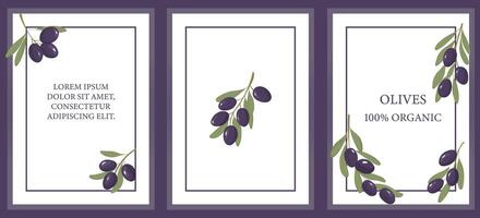 viola olive modello impostare. frutta etichette impostare. 3 etichette di viola olive Kalamata, con posto di testo. per Prodotto confezione. vettore illustrazione.