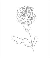 continuo linea uno linea rosa fiore, mano disegnato illustrazione vettore. vettore