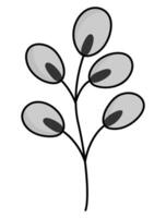 vettore illustrazione di figa salice brunch isolato su bianca sfondo. Pasqua tradizionale simbolo e design elemento. carino cartone animato primavera icona immagine