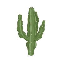 natura botanica del cactus vettore