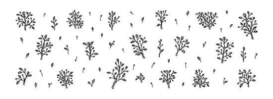 impostato di primavera floreale rami. fioritura pianta con mini cuffie e le foglie lineare vettore illustrazione. linea arte logo, nozze, saluto carta design elemento. verdura tatuaggio disegno. semplice schema pianta