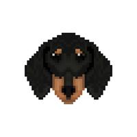 Testa di cane bassotto in stile pixel art. vettore