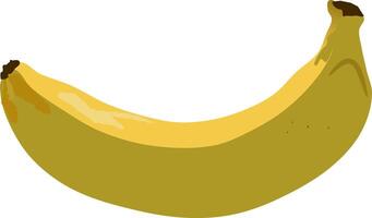 fresco Banana beatitudine - un' vivido istantanea evidenziazione il naturale appello di un' appena pelato Banana, Perfetto per promozione biologico e sano vita. Banana vettore illustrazione.