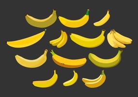 grappolo di maturo banane. un' strettamente confezionato gruppo di maturo banane. un attraente grappolo di banane, in mostra il bellezza di un' fresco raccogliere e il abbondanza di natura. Banana illustrazione collezione. vettore