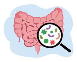 proctologo o colonscopia illustrazione con un' medico esamina di il colon e dannoso batteri vettore