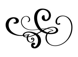 Separatore di flourish del bordo disegnato a mano Elementi del progettista di calligrafia. Illustrazione vettoriale vintage matrimonio isolato su sfondo bianco