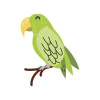 pappagallo verde vettore