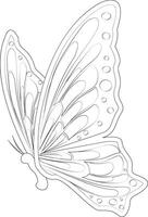 falena schema. elegante farfalla con colorato Ali e antenne, su un' bianca sfondo. volante falena. design di saluto carte, manifesti, cerotti, stampe su Abiti, emblemi. farfalla silhouette. vettore