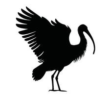 africano sacro ibis silhouette icona. vettore Immagine.