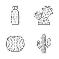 set di icone lineari di cactus selvatici vettore