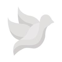 colomba bianca in volo vettore
