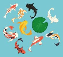 collezione di icone di pesci koi vettore