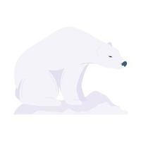 animale orso polare vettore