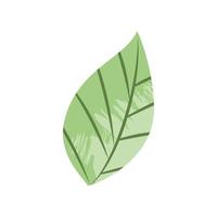 ecologia della natura delle foglie vettore