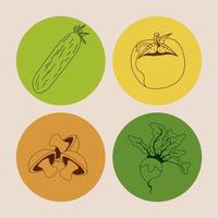gruppo di icone di verdure sane e biologiche vettore
