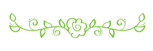 Separatore calligrafico disegnato a mano di vettore verde. Spring Flourish Design Element. Decorazioni in stile floreale chiaro per biglietto di auguri, web, matrimonio e stampa. Isolato su sfondo bianco Calligrafia e lettering illustrazione