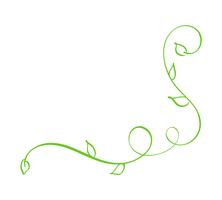 Angolo calligrafico disegnato a mano di vettore verde. Spring Flourish Design Element. Decorazioni in stile floreale chiaro per biglietto di auguri, web, matrimonio e stampa. Isolato su sfondo bianco Calligrafia e lettering illustrazione