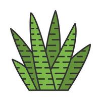icona del colore del cactus zebra vettore
