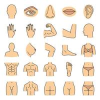 set di icone di colore delle parti del corpo umano. anatomia. assistenza sanitaria. illustrazioni vettoriali isolate