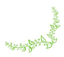 Elemento di disegno fiorito della primavera calligrafica disegnata a mano di vettore verde d&#39;angolo. Decorazioni in stile floreale chiaro per biglietto di auguri, web, matrimonio e stampa. Isolato su sfondo bianco Calligrafia e lettering illustrazione