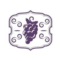 etichetta della frutta dell'uva vettore