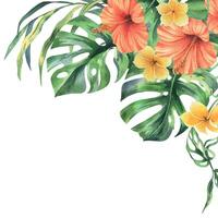 tropicale palma foglie, Monstera e fiori di plumeria, ibisco, luminosa succoso. mano disegnato acquerello botanico illustrazione. modello, telaio isolato a partire dal il sfondo. vettore