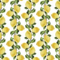 limoni siamo giallo, succoso, maturo con verde foglie, fiore mini cuffie su il rami, totale e fette. acquerello, mano disegnato botanico illustrazione. senza soluzione di continuità modello vettore