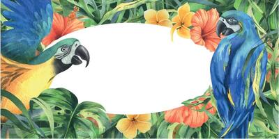 tropicale palma foglie, Monstera e fiori di plumeria, ibisco, luminosa succoso con blu-giallo ara pappagallo. mano disegnato acquerello botanico illustrazione. modello telaio isolato a partire dal il sfondo vettore