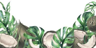 noci di cocco totale, metà e pezzi con luminosa, verde, tropicale palma le foglie. mano disegnato acquerello illustrazione. telaio, modello, vuoto isolato a partire dal il sfondo. vettore