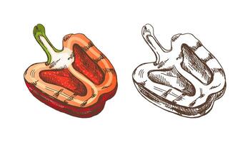 biologico cibo. disegnato a mano colorato e monocromatico vettore schizzo di metà grigliato campana Pepe. Vintage ▾ illustrazione. decorazioni per il menù di caffè e etichette. inciso Immagine.