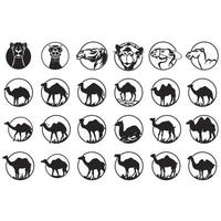 collezione di cammello loghi vettore